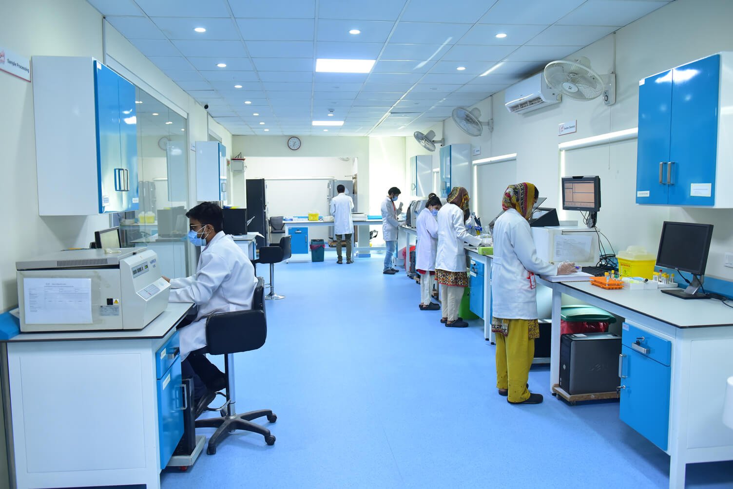 Lab reports provide medical insights